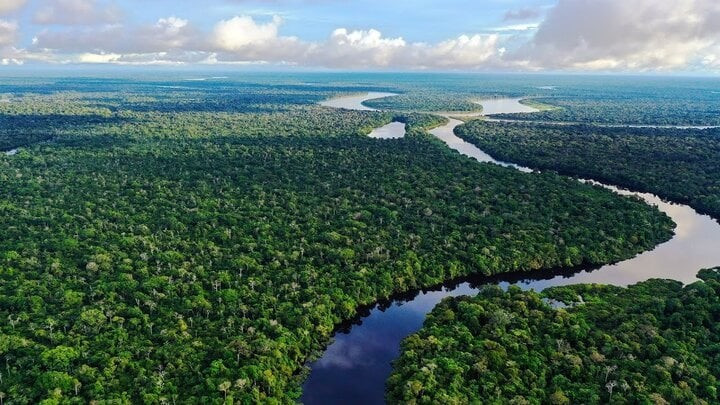 Con sông duy nhất dài 6.400km, chảy qua 9 quốc gia nhưng tuyệt nhiên không có cây cầu nào bắc qua - ảnh 2