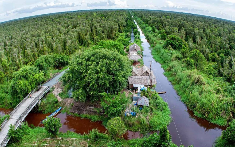 Dòng sông dài hơn 40km chạy xuyên khu rừng 2.000km2 của Việt Nam được xếp loại quý hiếm trên thế giới, nằm ở vùng đất cực Nam ĐBSCL - ảnh 2