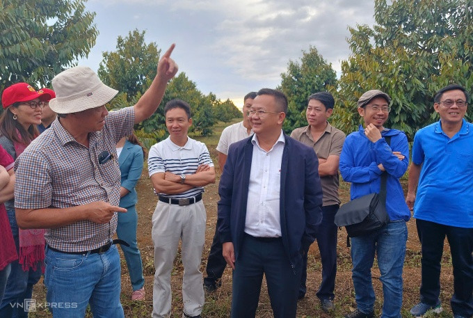 Hoàng Anh Gia Lai (HAG): Diện tích trồng sầu riêng tăng gấp đôi chỉ sau 2 năm, dự kiến thu hoạch 600ha vào năm 2025