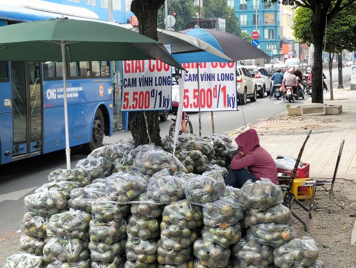 Cam sành chỉ còn 5.000 đồng/kg, nông dân miền Tây ‘kêu cứu’: Chính quyền địa phương nói gì?