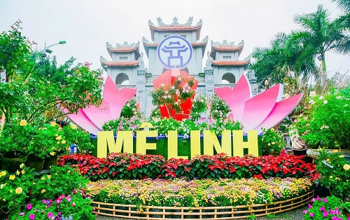 Sắp diễn ra lễ hội hoa lớn nhất miền Bắc tại Mê Linh, Hà Nội