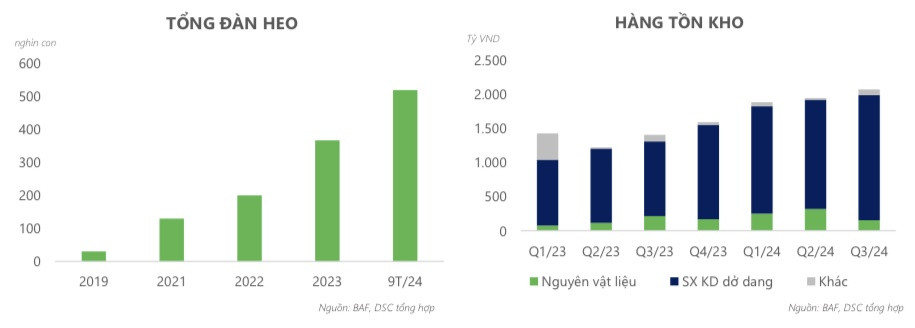 BAF dự chi 3.000 tỷ đồng xây dựng 15 trang trại chăn nuôi heo trong năm 2025