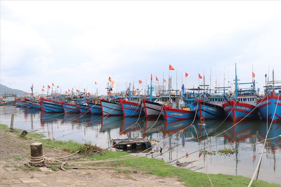 Hơn 60.000 phương tiện tàu thuyền đã được thông tin về bão số 10.