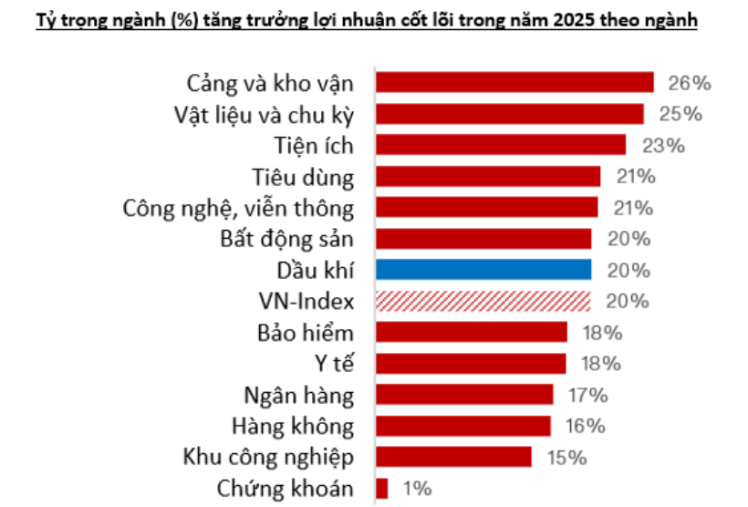 VinaCapital kỳ vọng VN-Index tăng 20% trong năm 2025, nhóm chứng khoán chỉ tăng 1%