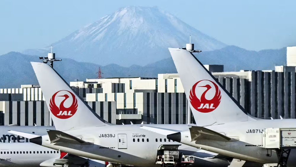 Japan Airlines bị tấn công mạng, hoãn hàng loạt chuyến bay - ảnh 1