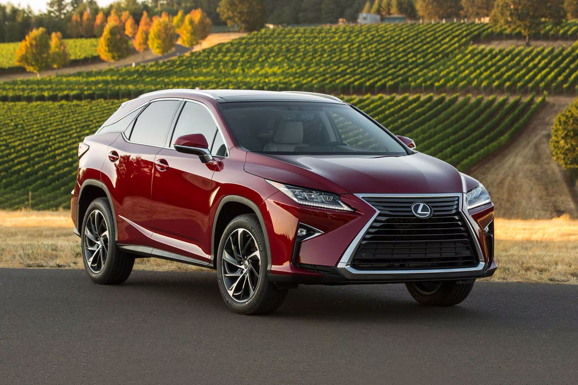 Lexus RX 350 2018.jpg