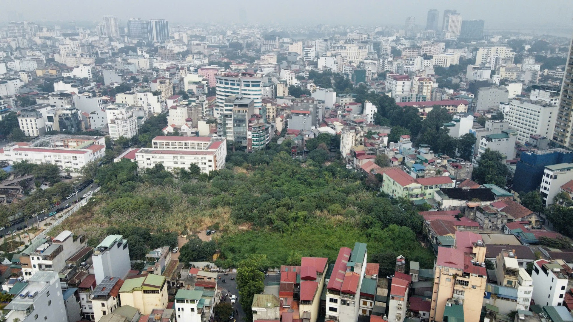 Cỏ dại mọc um tùm như 'rừng' trong khu đất vàng mà Hà Nội loại bỏ làm nhà ở ảnh 1