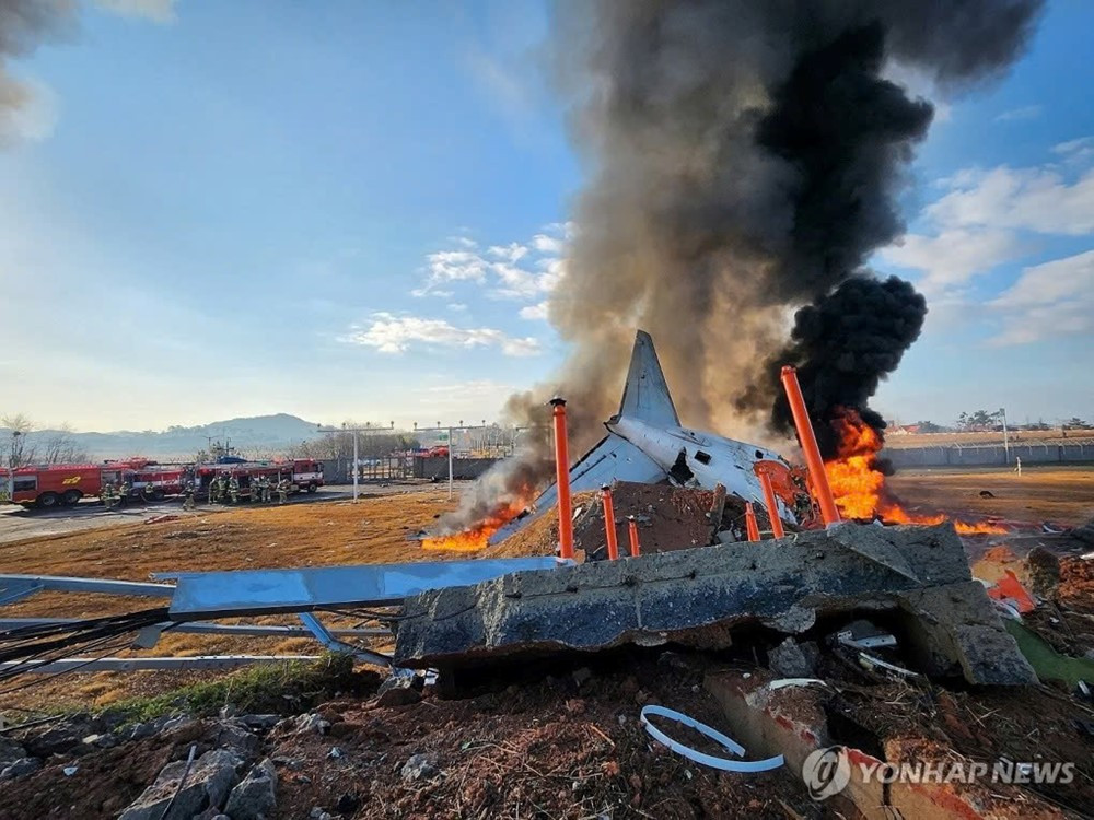 Vụ máy bay Boeing nổ tung trên đường băng: 179 người thiệt mạng, có thể do va chạm với chim - ảnh 1