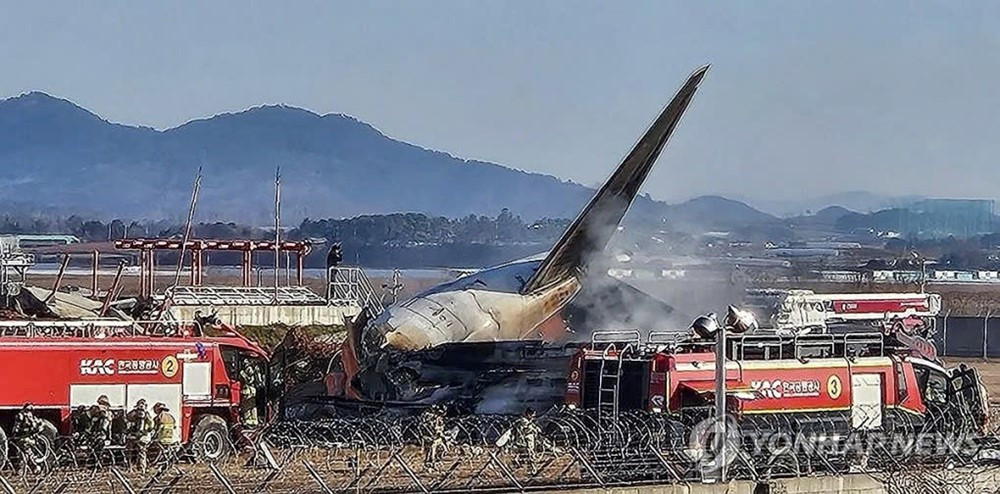 Vụ máy bay Boeing nổ tung trên đường băng: 179 người thiệt mạng, có thể do va chạm với chim - ảnh 3