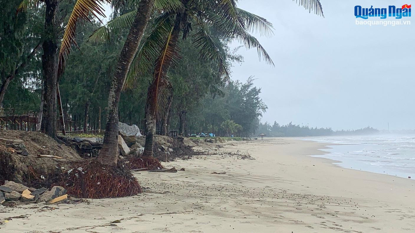 Bãi biển nổi tiếng ở Đà Nẵng lọt top đẹp nhất châu Á bất ngờ bị sạt lở- Ảnh 1.