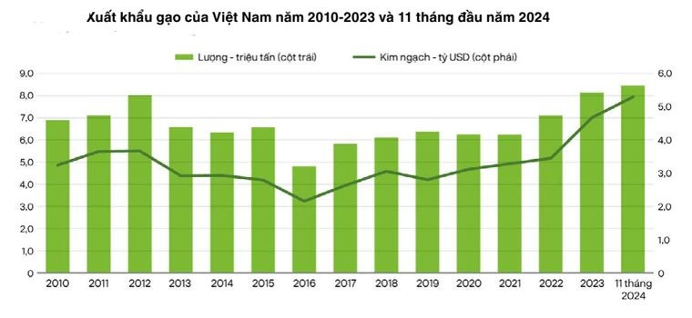 Thị trường gạo năm 2025: Nguồn cung tăng cao, giá có thể hạ nhiệt