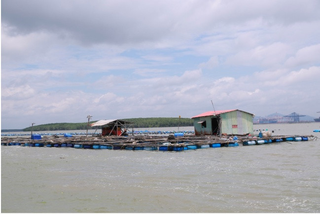 Nông dân TP Hồ Chí Minh đổi đời ngoạn mục nhờ quỹ hỗ trợ với thu nhập tiền tỷ