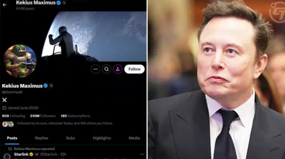 'Động thái lạ' của tỷ phú Elon Musk vừa khiến nhiều người 'trắng tay' - ảnh 1