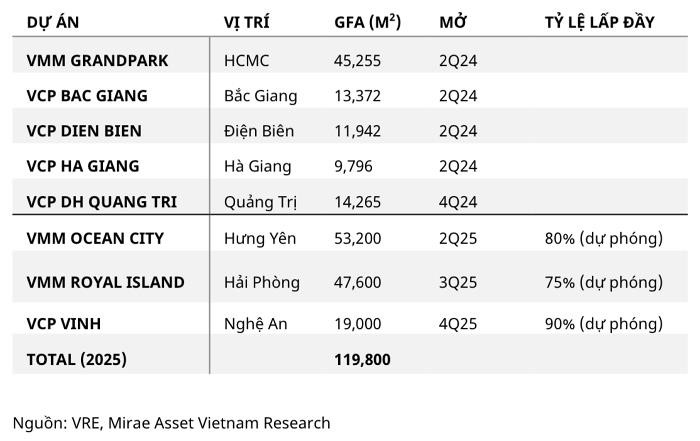 Năm nay, Việt Nam sẽ đón thêm 3 trung tâm thương mại của Vincom Retail- Ảnh 1.