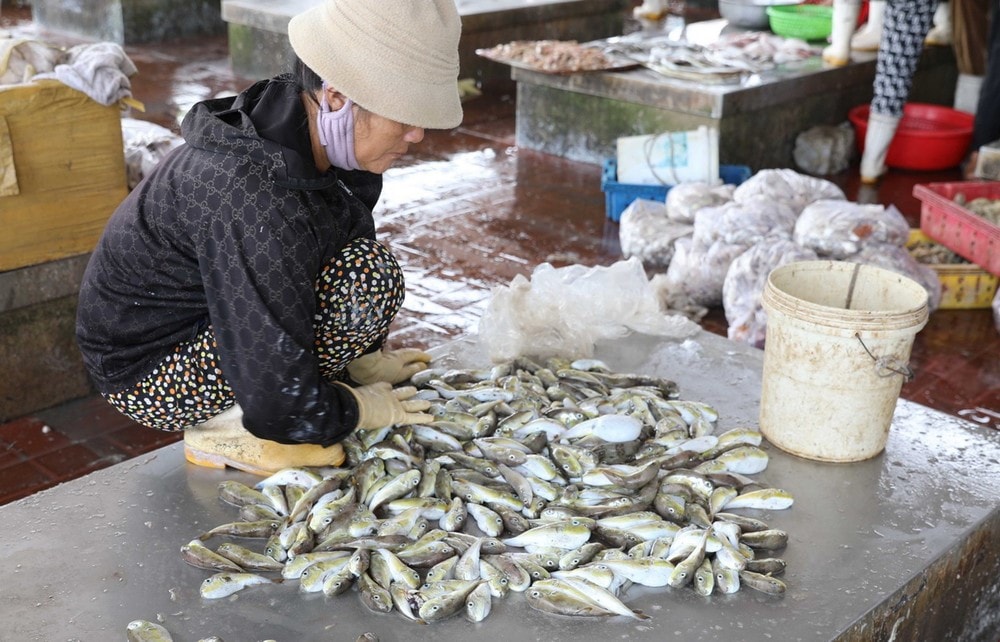 Ngộ độc nặng do ăn loại cá có chứa độc tố: 1 người tử vong, 4 người cấp cứu - ảnh 2