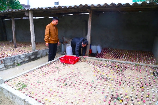 Làng nghề Nghệ An với sản phẩm chôn dưới cát độc đáo chạm mốc triệu đô dịp Tết