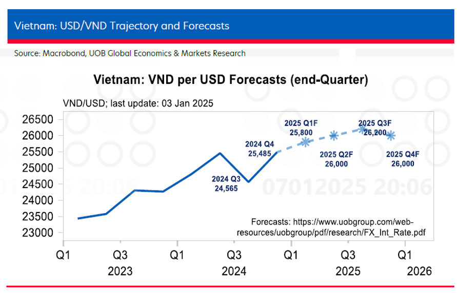 VND mất giá 5% trong năm 2024: Việt Nam đang đối mặt áp lực ngoại tệ ra sao?