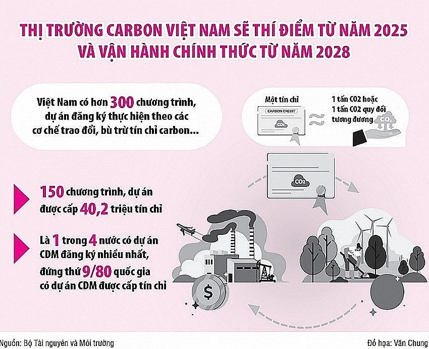 Biến 8.000ha trồng mía thành 'cứ điểm' tín chỉ carbon, Lasuco (LSS) 'vừa sản xuất đường, vừa bán không khí'