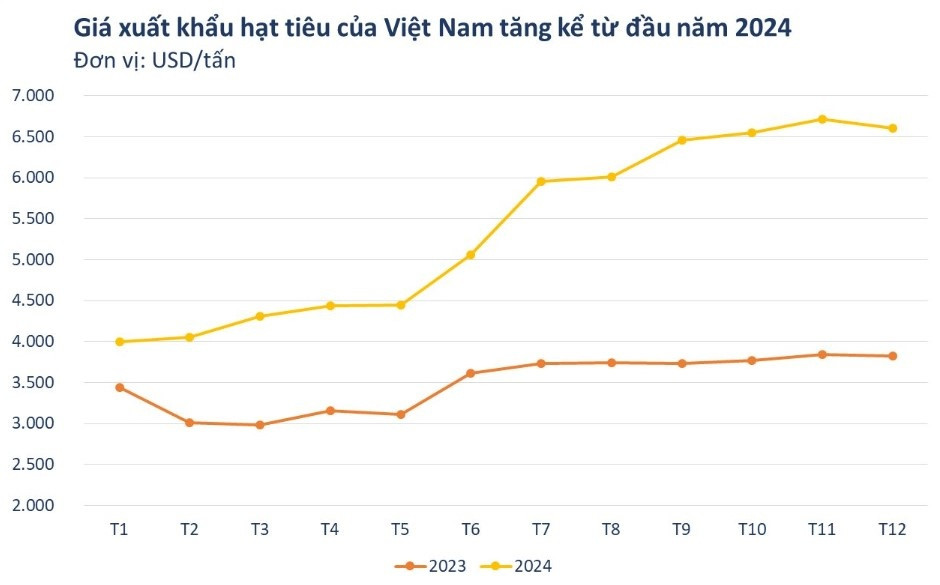 Loại gia vị 'quen mặt' cực tốt cho hệ tiêu hóa, ngừa cả ung thư mang về cho Việt Nam hơn 1,3 tỷ USD, Mỹ và Đức thi nhau mua