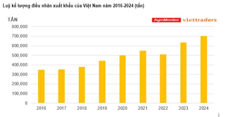 Xuất khẩu điều nhân tăng vọt, nhập khẩu điều thô sụt giảm khiến tồn kho cạn kiệt