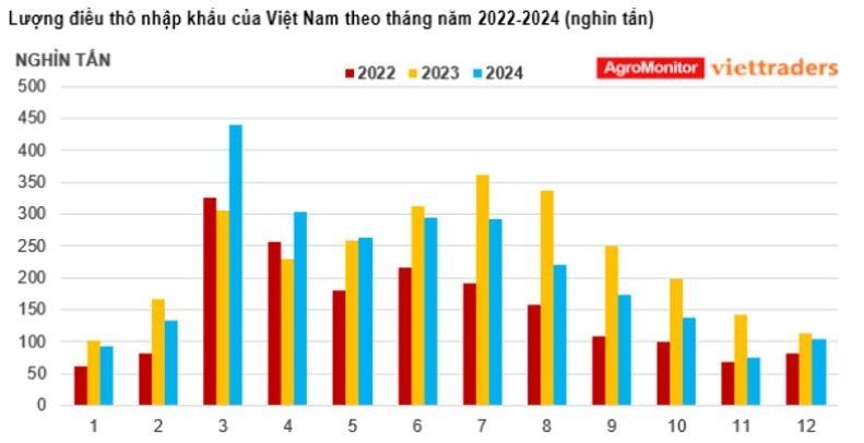 Xuất khẩu điều nhân tăng vọt, nhập khẩu điều thô sụt giảm khiến tồn kho cạn kiệt