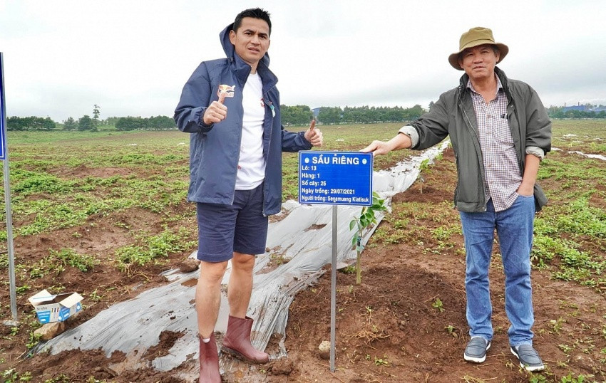 Thị trường sầu riêng trọng điểm bùng nổ, HAGL của bầu Đức sẵn sàng cho vụ thu hoạch mới