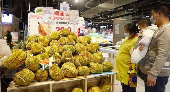 Sầu riêng Việt Nam ‘tăng tốc’ xuất khẩu sang Trung Quốc, rút ngắn khoảng cách với 'ngôi vương' của Thái Lan