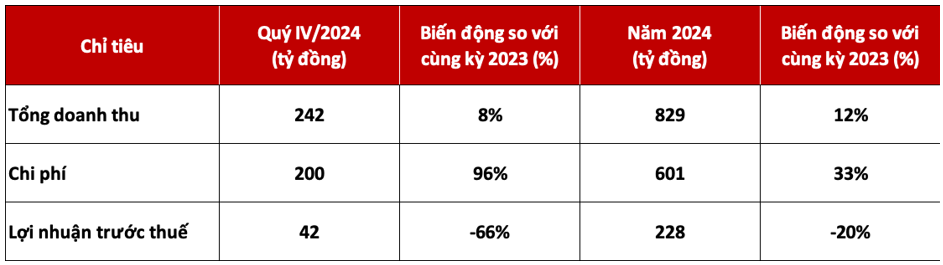 DNSE tăng doanh thu 12%, đạt 1 triệu tài khoản chứng khoán năm 2024