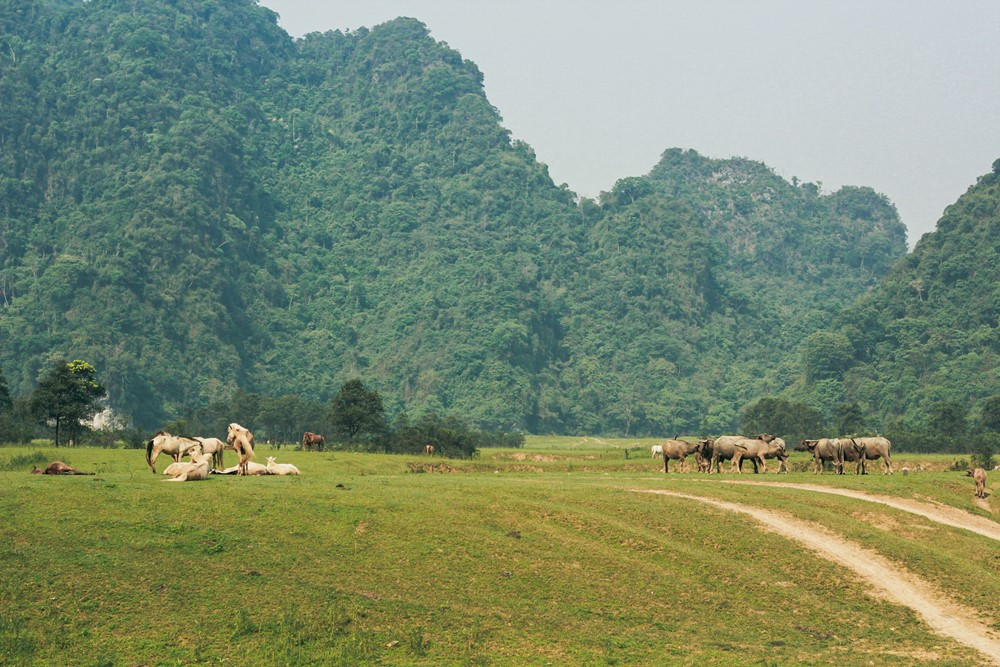 Việt Nam ‘thắng đậm’ với 17 đơn vị được vinh danh tại Giải thưởng Du lịch ASEAN - ảnh 2