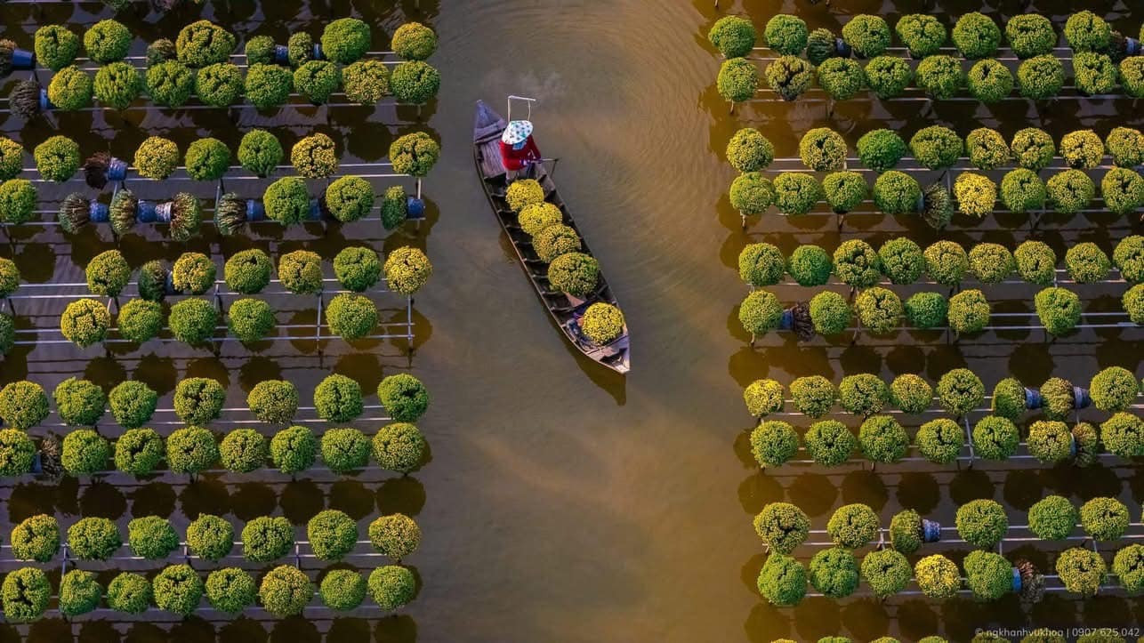 Tỉnh có mức sống rẻ nhất cả nước lập đường hoa 15km dài nhất Việt Nam đón Tết Nguyên đán- Ảnh 4.