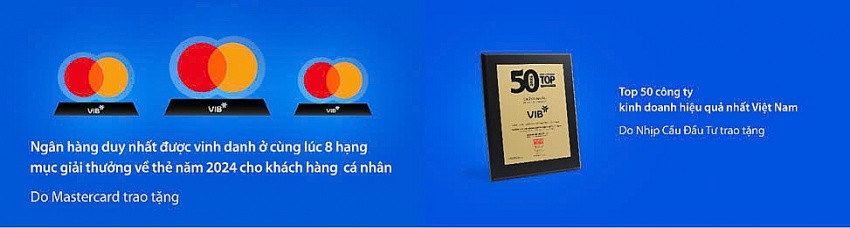 VIB: Lợi nhuận năm 2024 hơn 9.000 tỷ đồng, tăng trưởng tín dụng dẫn đầu ngành, đạt 22%