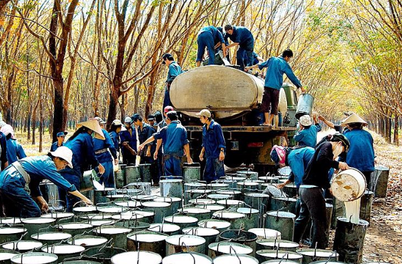 Sản vật tỷ đô của Việt Nam đạt kỷ lục: Trung Quốc, Ấn Độ là những khách hàng lớn nhất