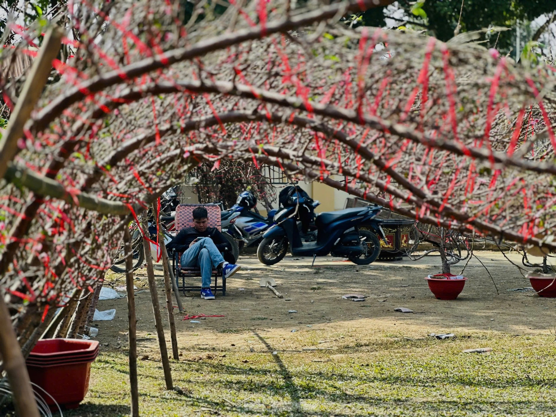 Treo biển 'xả hàng', hoa Tết vẫn vắng người mua ảnh 8