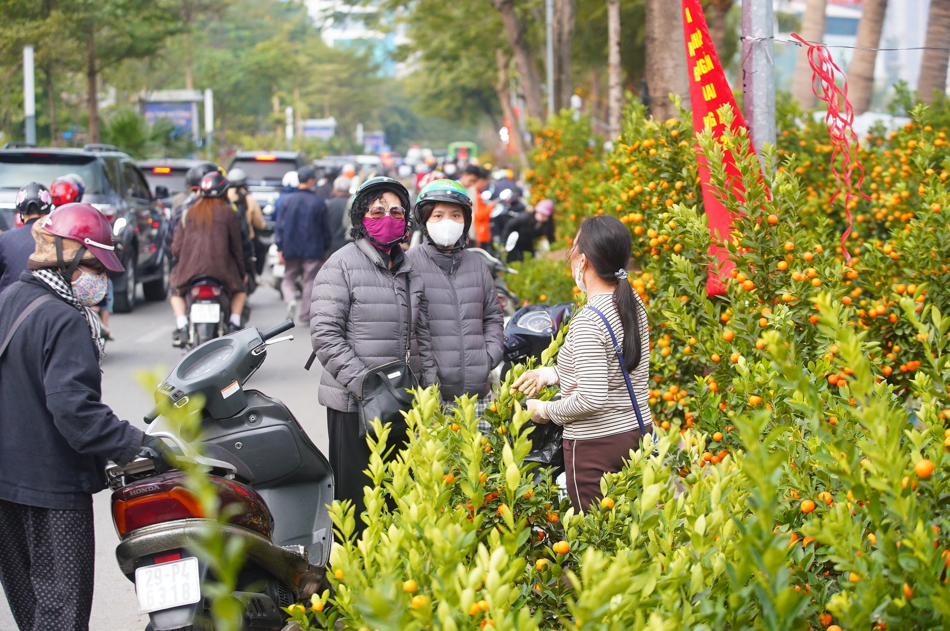 Ngày đầu kỳ nghỉ Tết Nguyên đán, người dân hồ hởi xuống phố 'săn' cành đào, cây quất ảnh 15