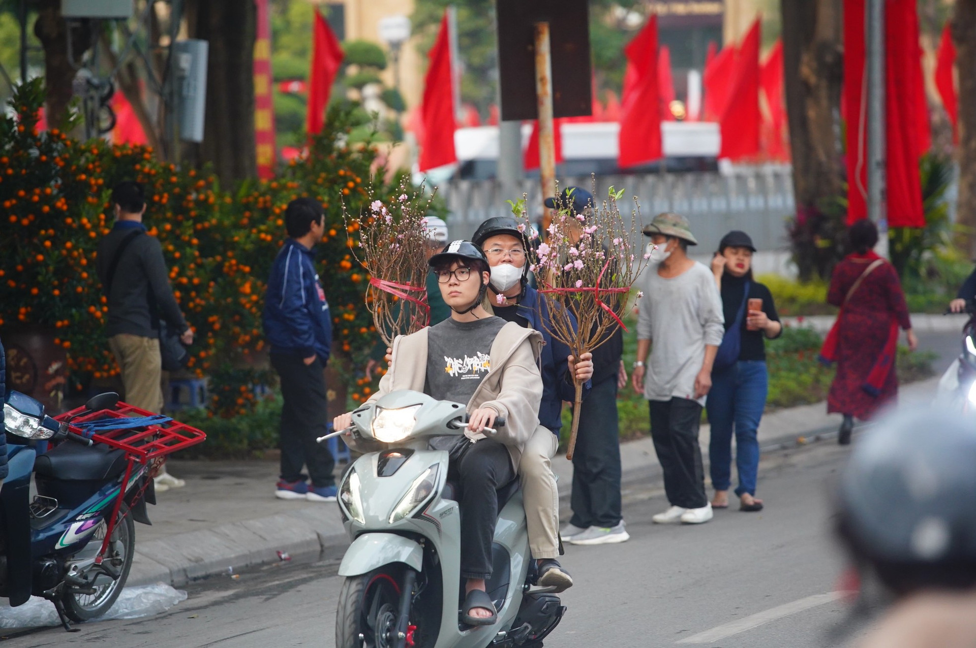 Ngày đầu kỳ nghỉ Tết Nguyên đán, người dân hồ hởi xuống phố 'săn' cành đào, cây quất ảnh 18