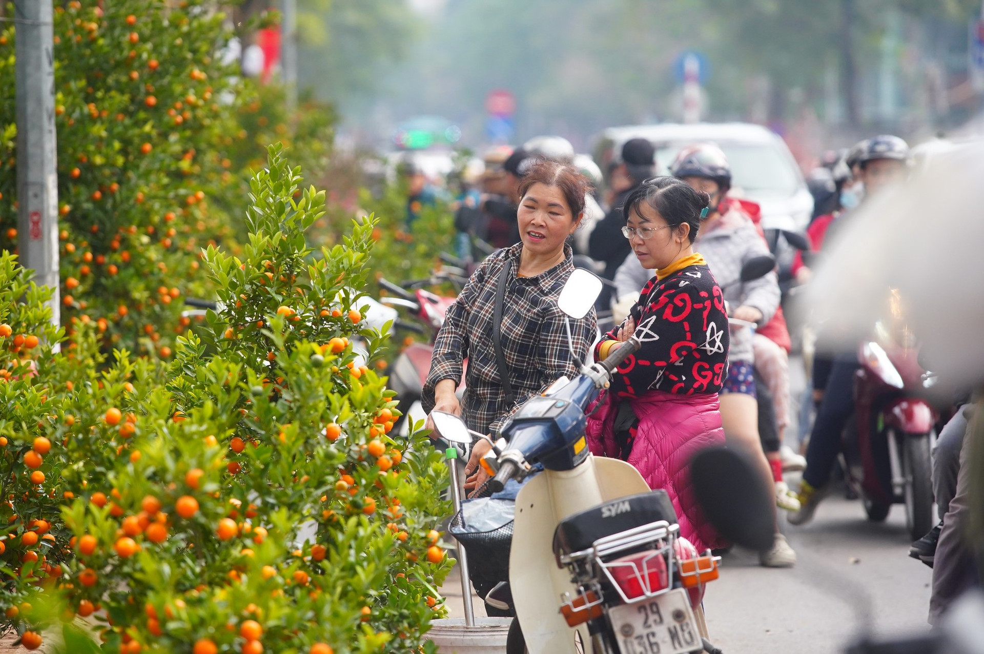 Ngày đầu kỳ nghỉ Tết Nguyên đán, người dân hồ hởi xuống phố 'săn' cành đào, cây quất ảnh 16