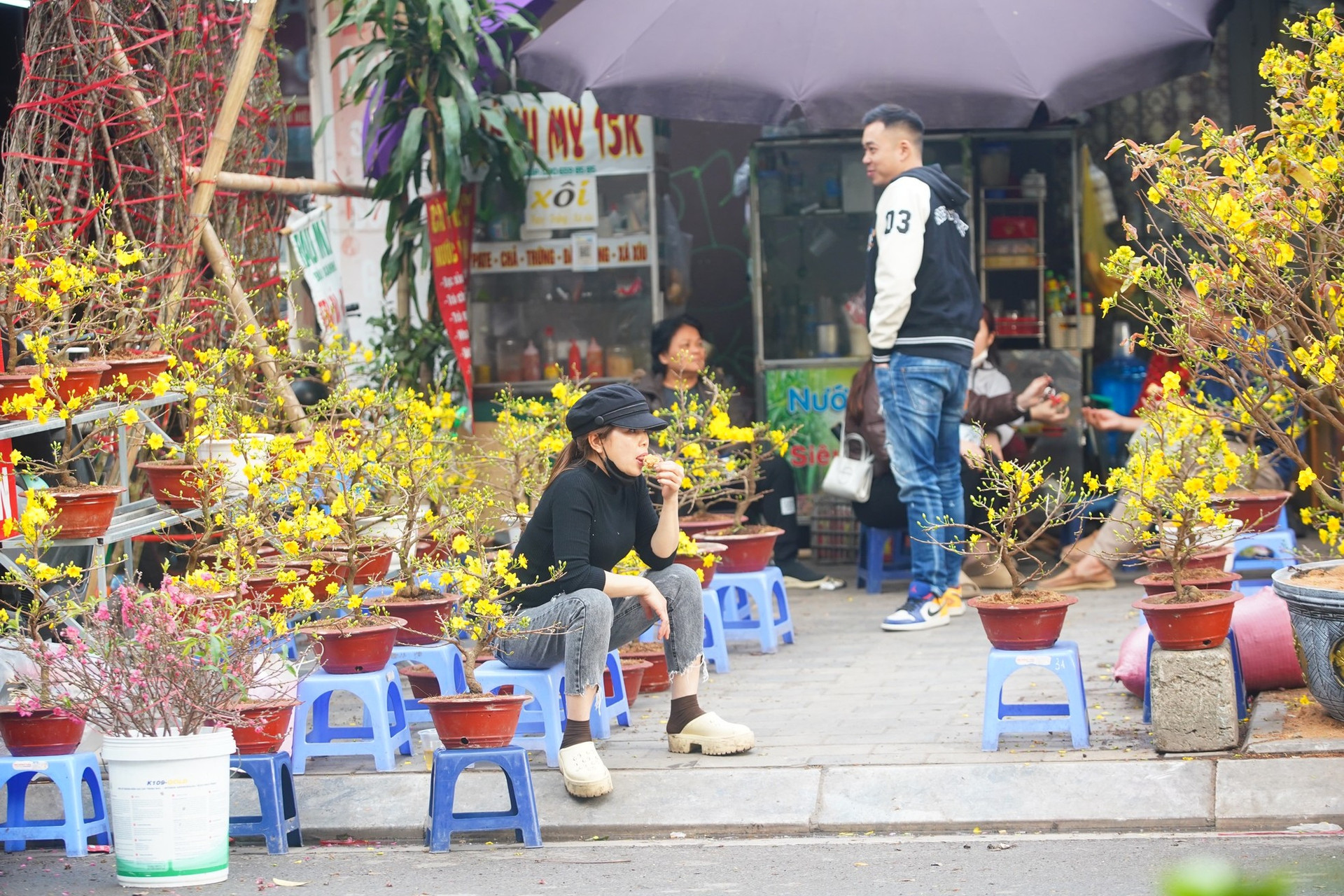 Hà Nội: Mai vàng ế ẩm, tiểu thương giảm giá, xả hàng sớm ảnh 17