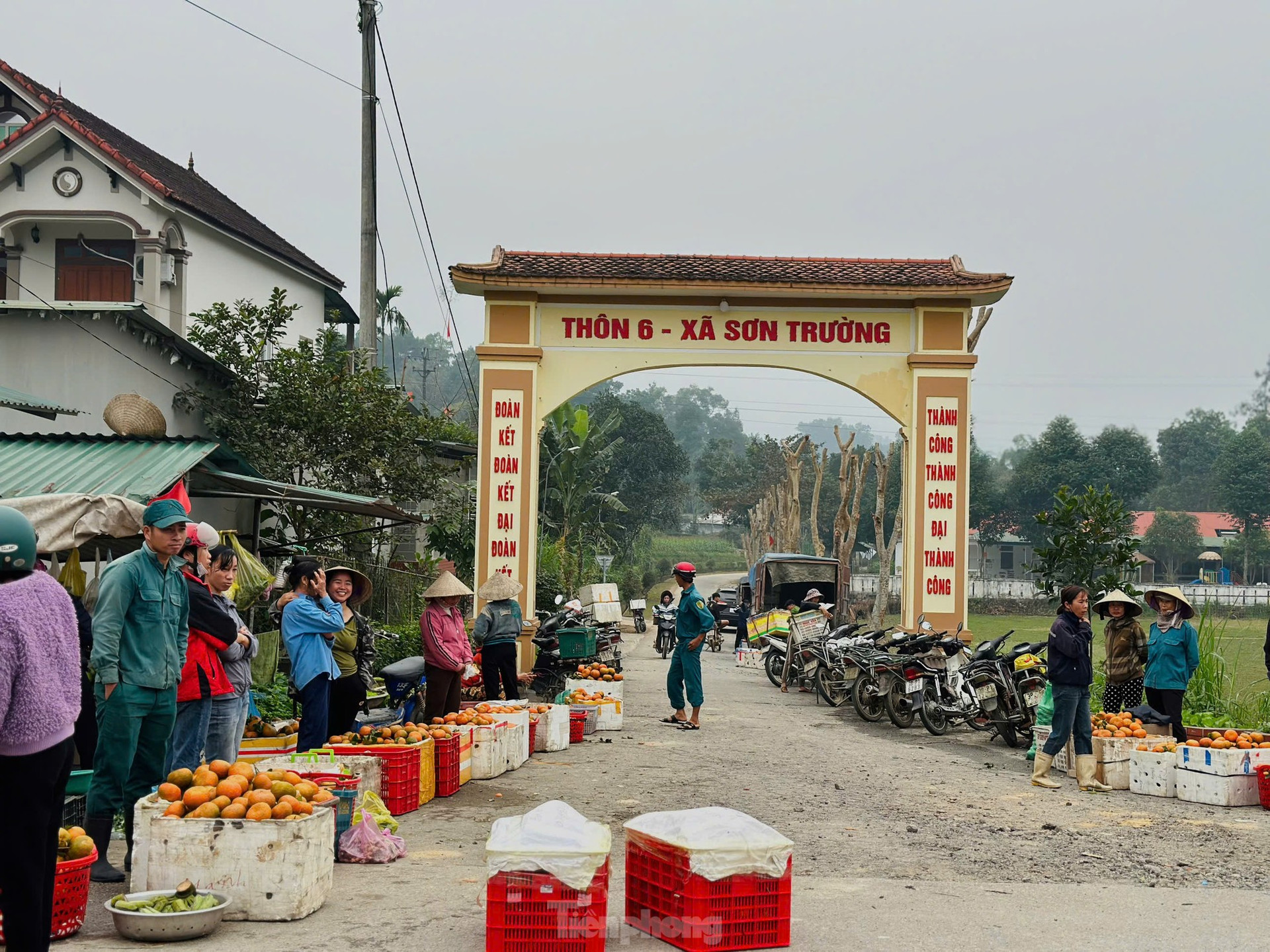 Thủ phủ cam bù vàng rực, bung hàng ngày Tết ảnh 6