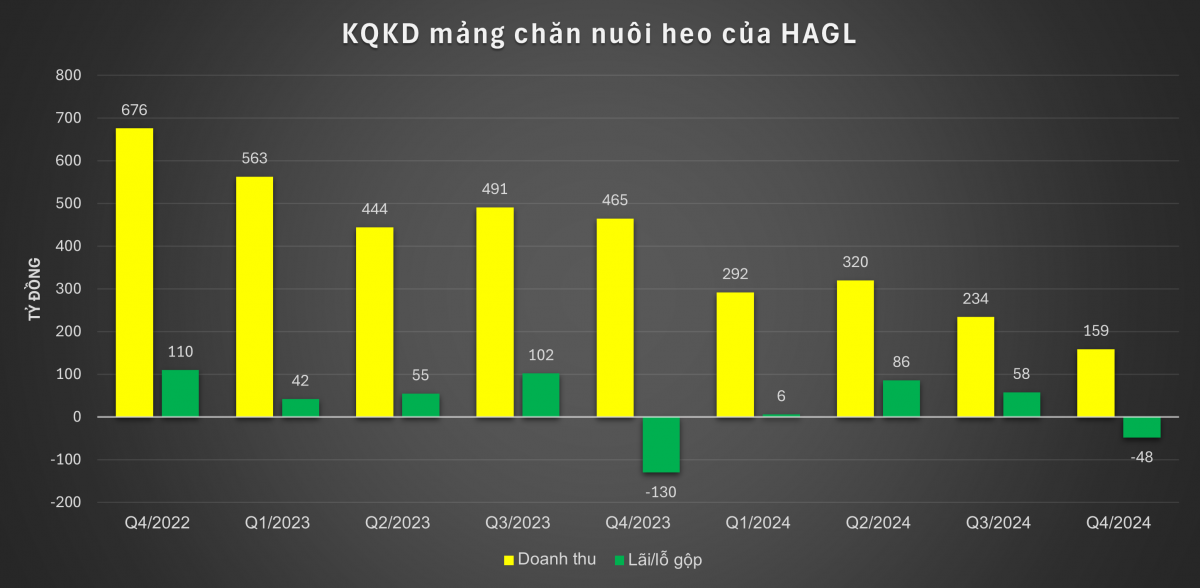 'Chân ái' heo ăn chuối từng khiến bầu Đức 'mừng đến mất ngủ' làm ăn thua lỗ