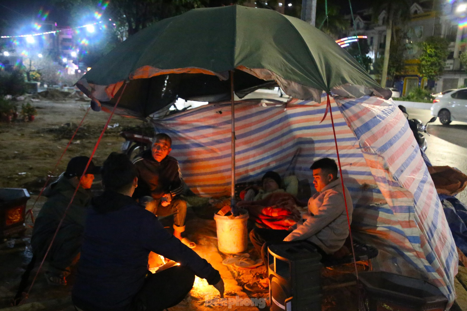 Dân buôn đào, quất: 'Chưa năm nào ế như năm nay' ảnh 2