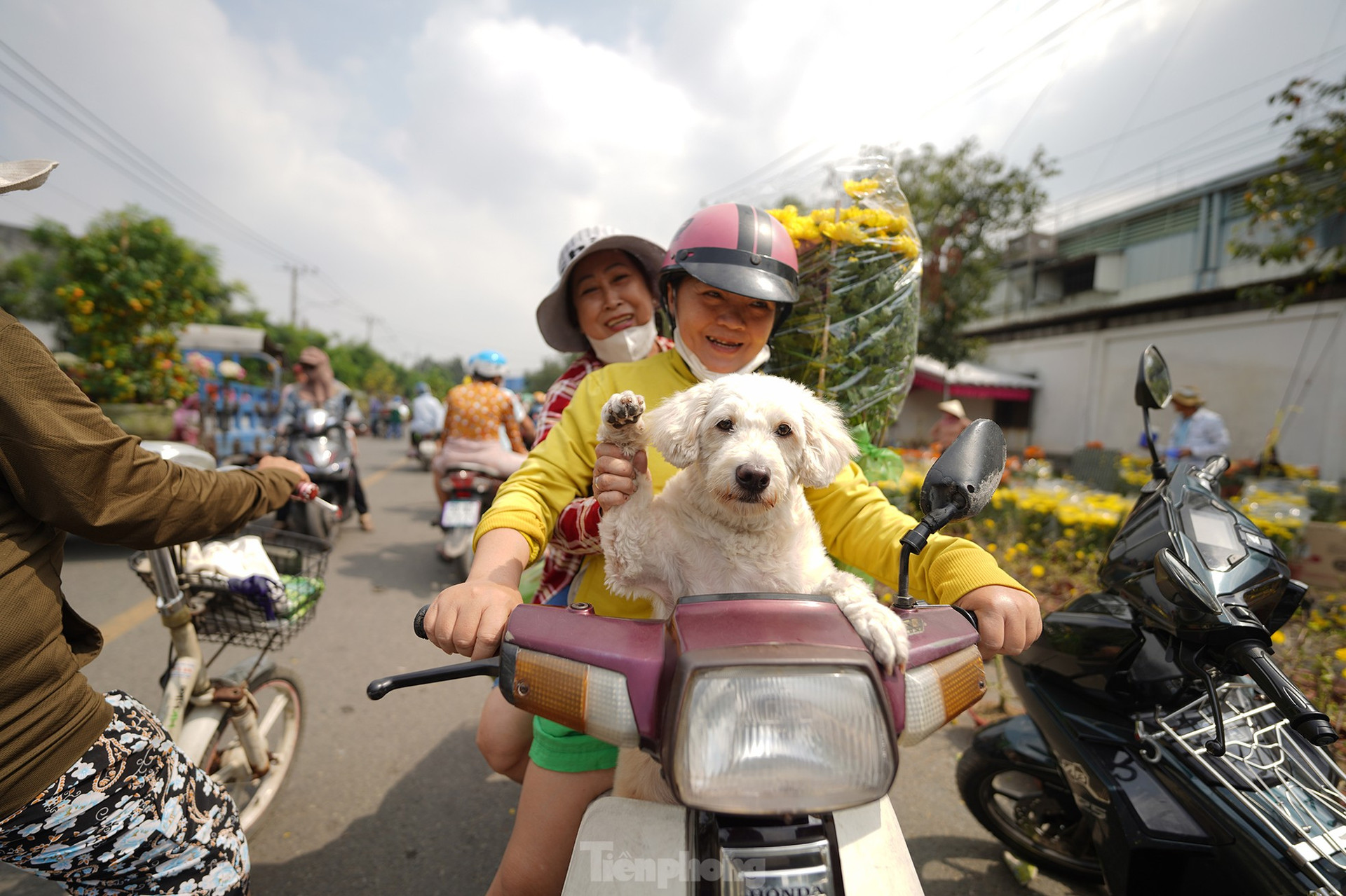 Ngày 29 Tết: Cứ 30 phút tiểu thương lại giảm giá cây để 'hút khách' ảnh 18