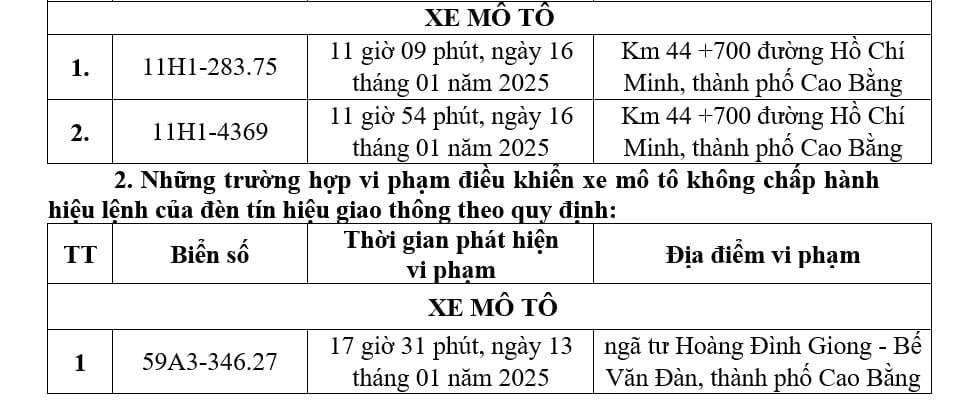 Công an yêu cầu những chủ xe mang biển số TP. Hồ Chí Minh nhanh chóng đến nộp phạt nguội - ảnh 2