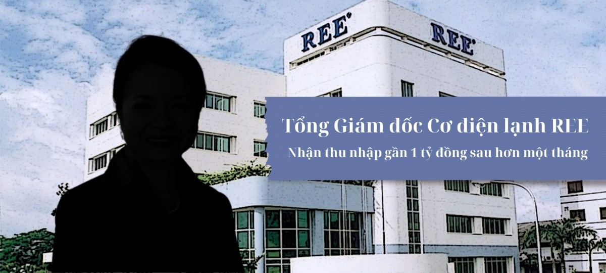 Tân Tổng Giám đốc REE: Nhận thù lao gần 1 tỷ đồng một tháng, sở hữu khối tài sản lên đến 4.000 tỷ đồng