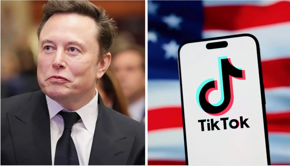 Tỷ phú Elon Musk bất ngờ tuyên bố không muốn mua TikTok - ảnh 1