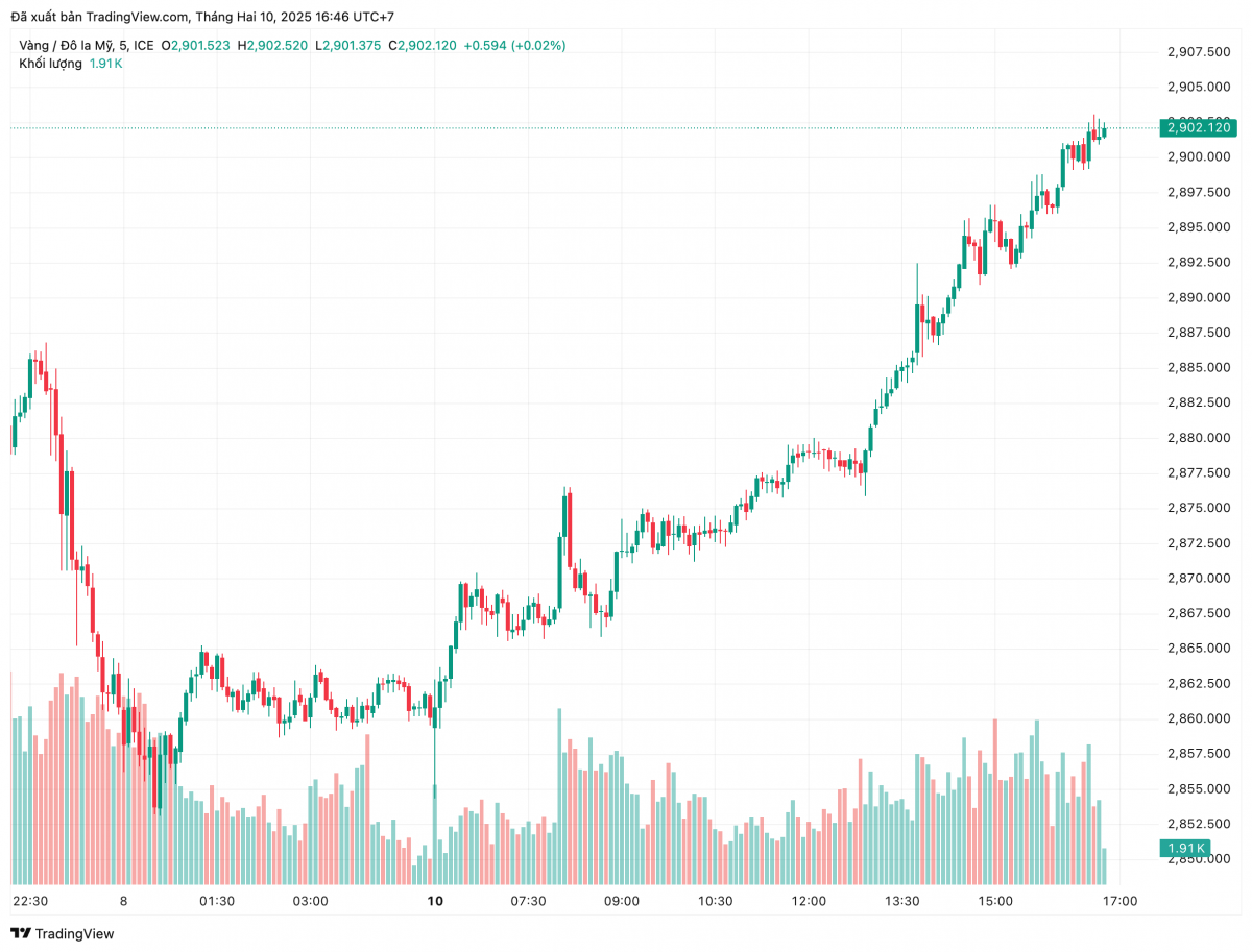 Vàng chạm đỉnh lịch sử 2.900 USD/ounce: Chuyên gia dự báo gì tiếp theo?