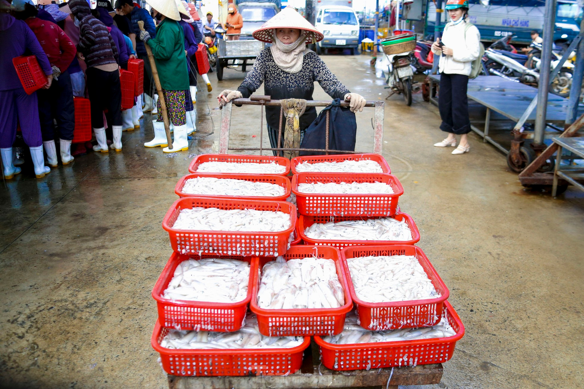 Mực tươi đầy ắp, mua bán nhộn nhịp ở cảng cá lớn nhất miền Trung ảnh 17