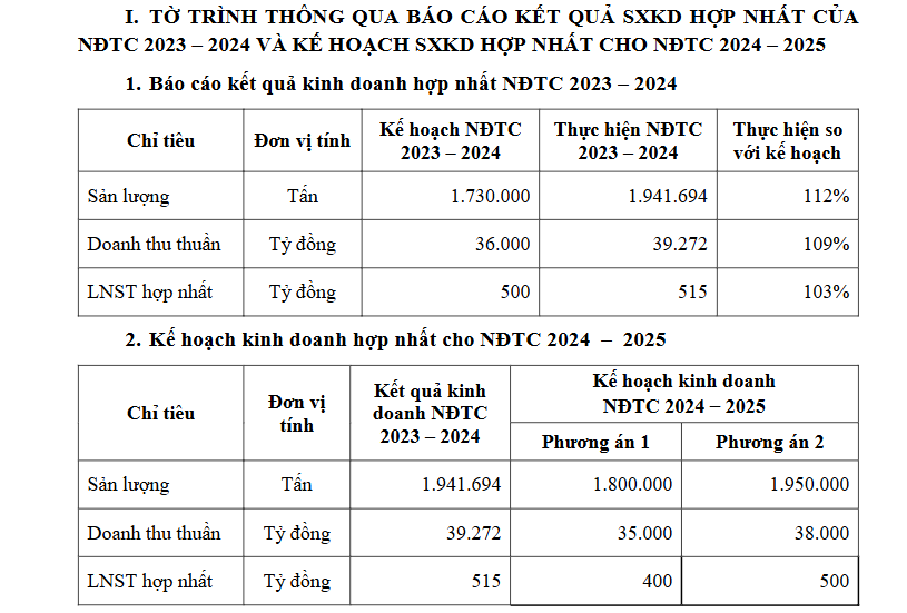 Hoa Sen (HSG) công bố kế hoạch tái cấu trúc, lộ diện đơn vị trọng tâm được 'chọn mặt gửi vàng'