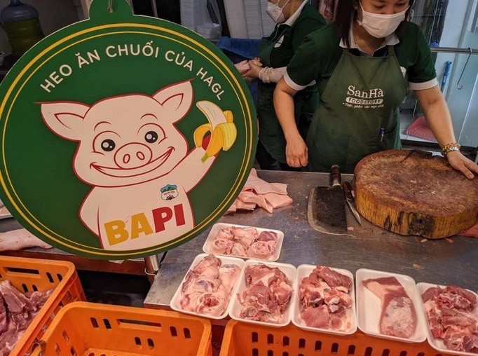 Từng là chân ái khiến bầu Đức 'vui đến mất ngủ', heo ăn chuối Bapi HAGL giờ ra sao giữa cơn sốt giá thịt lợn?