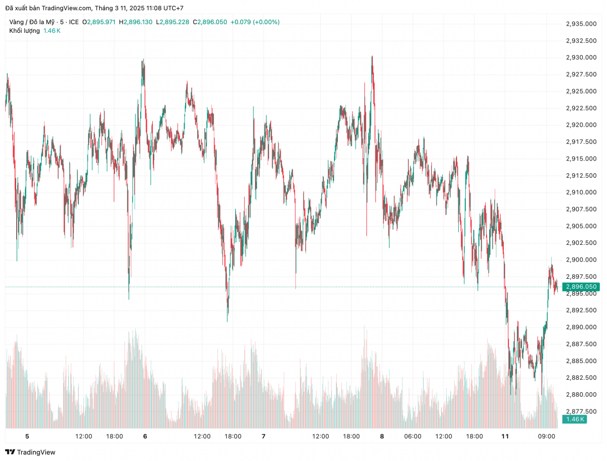 Nhà đầu tư ồ ạt bán vàng bù lỗ chứng khoán, giá vàng lao dốc xuống dưới 2.900 USD/ounce