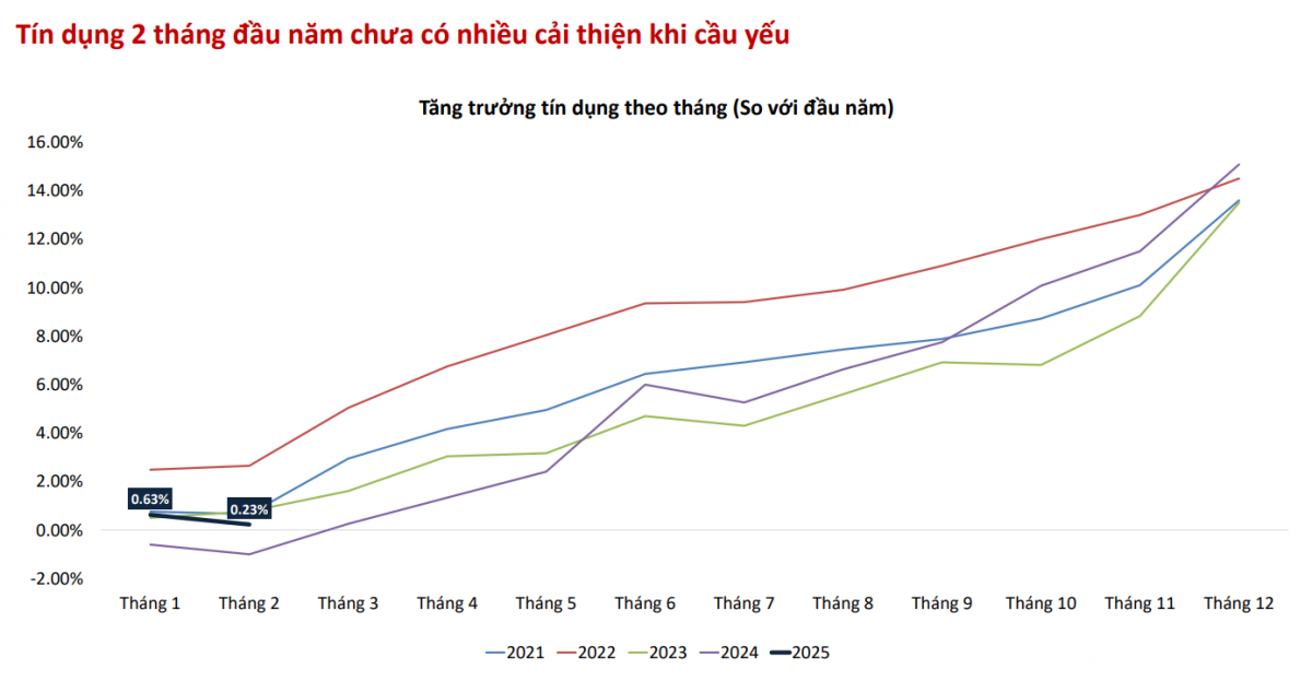 Thị trường chứng khoán có 'bull run' trong năm 2025?